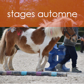 page stages automne