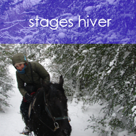 page stages hiver